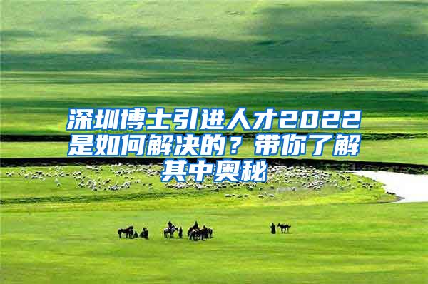 深圳博士引进人才2022是如何解决的？带你了解其中奥秘
