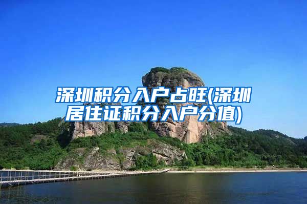 深圳积分入户占旺(深圳居住证积分入户分值)