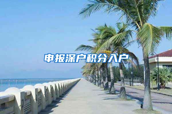 申报深户积分入户