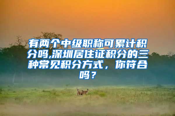 有两个中级职称可累计积分吗,深圳居住证积分的三种常见积分方式，你符合吗？