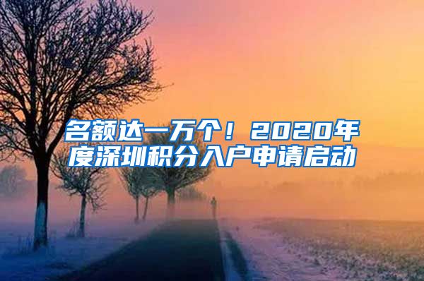 名额达一万个！2020年度深圳积分入户申请启动