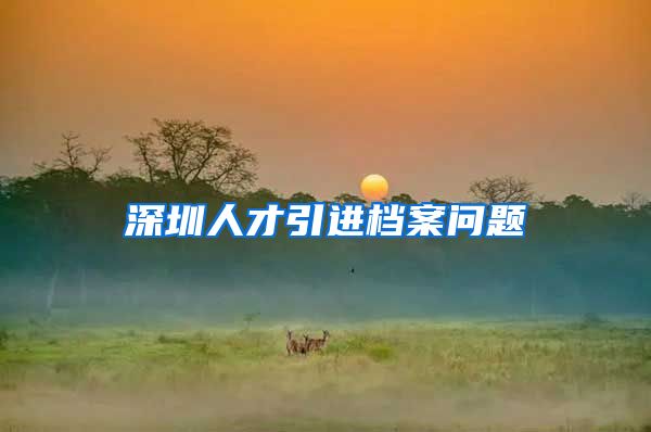深圳人才引进档案问题