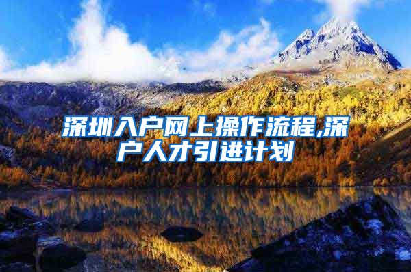 深圳入户网上操作流程,深户人才引进计划