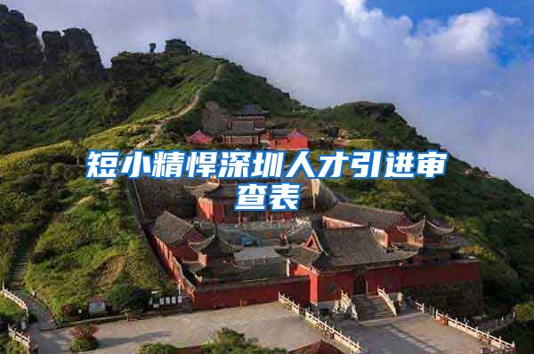 短小精悍深圳人才引进审查表