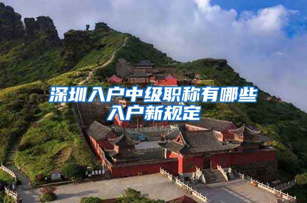 深圳入户中级职称有哪些入户新规定