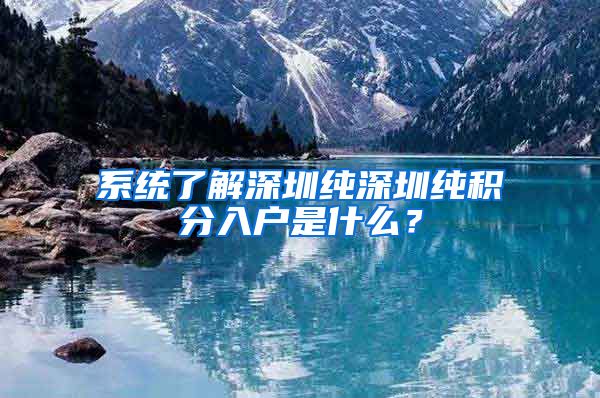 系统了解深圳纯深圳纯积分入户是什么？