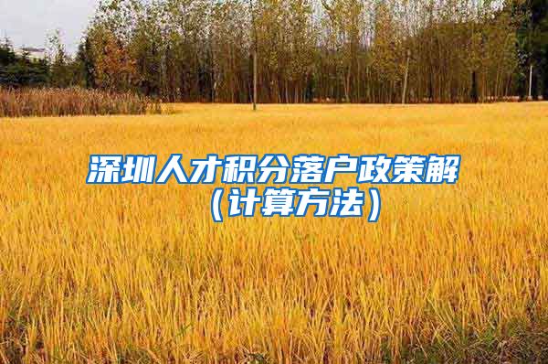 深圳人才积分落户政策解 （计算方法）