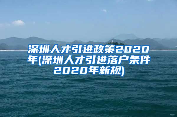 深圳人才引进政策2020年(深圳人才引进落户条件2020年新规)