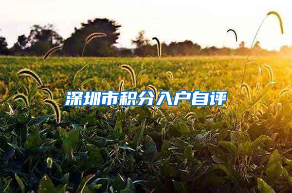 深圳市积分入户自评