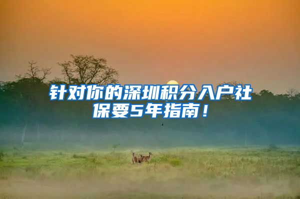 针对你的深圳积分入户社保要5年指南！