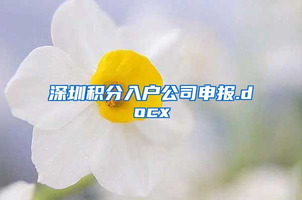 深圳积分入户公司申报.docx