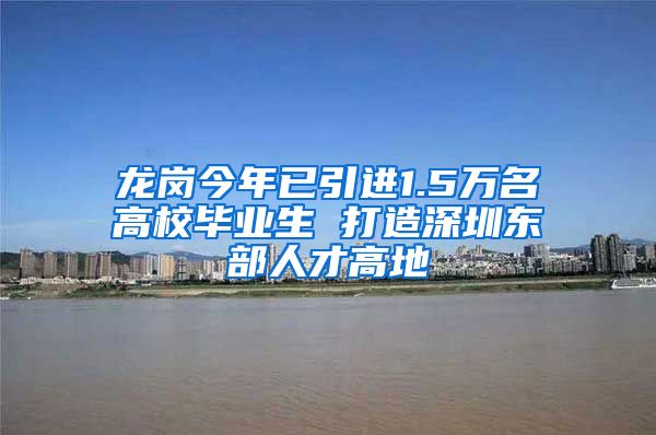 龙岗今年已引进1.5万名高校毕业生 打造深圳东部人才高地