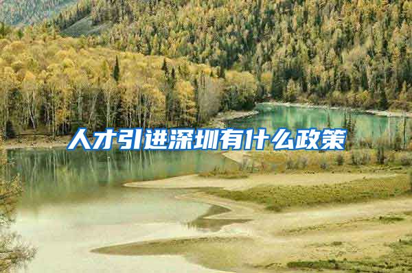 人才引进深圳有什么政策