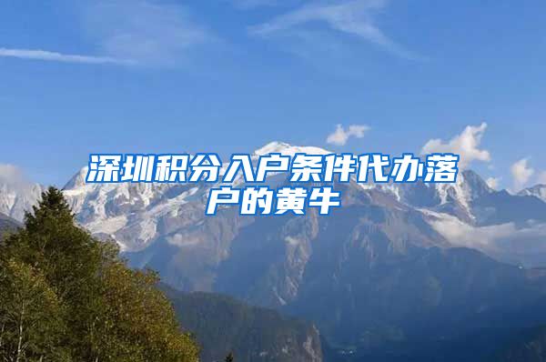 深圳积分入户条件代办落户的黄牛