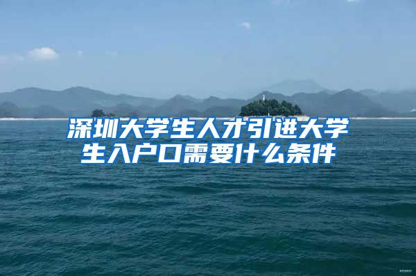 深圳大学生人才引进大学生入户口需要什么条件