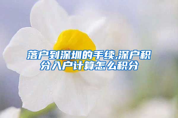 落户到深圳的手续,深户积分入户计算怎么积分