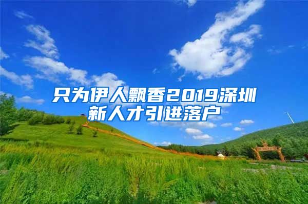 只为伊人飘香2019深圳新人才引进落户