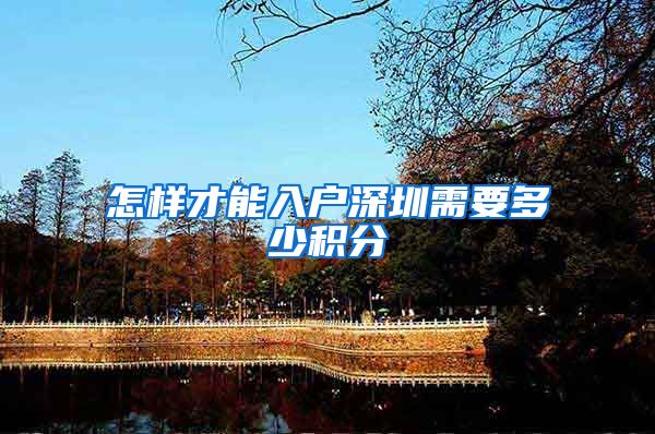 怎样才能入户深圳需要多少积分