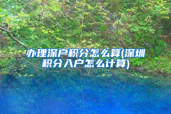 办理深户积分怎么算(深圳积分入户怎么计算)