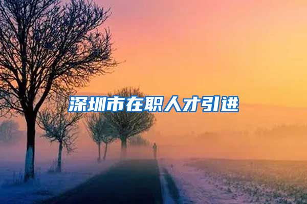 深圳市在职人才引进