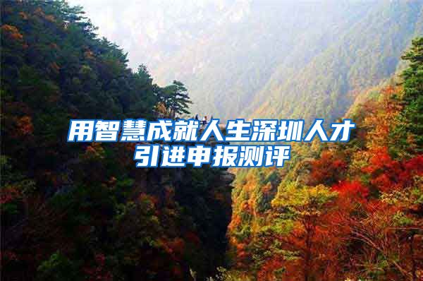 用智慧成就人生深圳人才引进申报测评