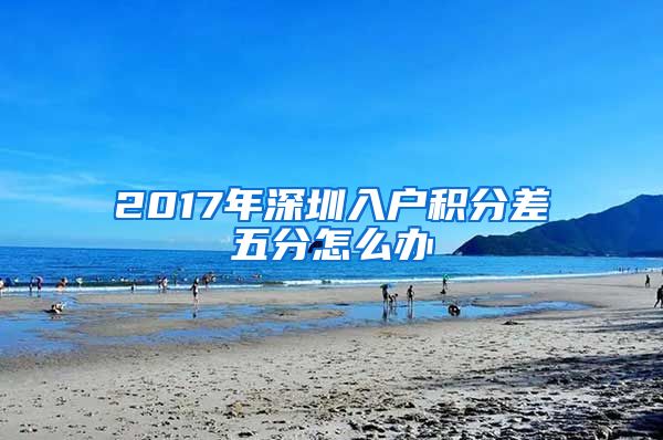 2017年深圳入户积分差五分怎么办