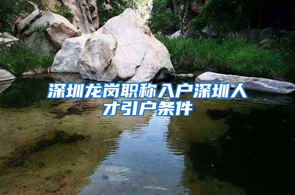 深圳龙岗职称入户深圳人才引户条件
