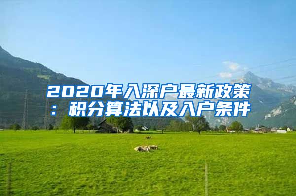 2020年入深户最新政策：积分算法以及入户条件