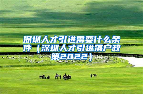 深圳人才引进需要什么条件（深圳人才引进落户政策2022）