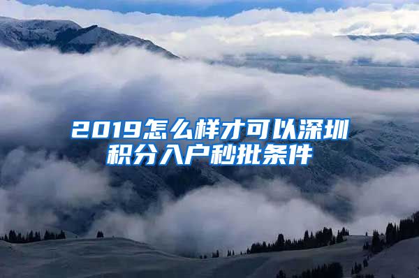 2019怎么样才可以深圳积分入户秒批条件