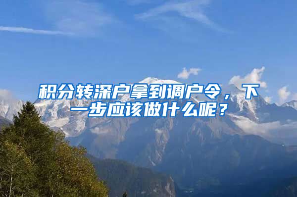 积分转深户拿到调户令，下一步应该做什么呢？