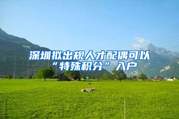 深圳拟出规人才配偶可以“特殊积分”入户