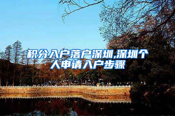 积分入户落户深圳,深圳个人申请入户步骤