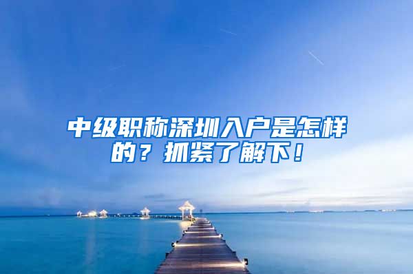 中级职称深圳入户是怎样的？抓紧了解下！