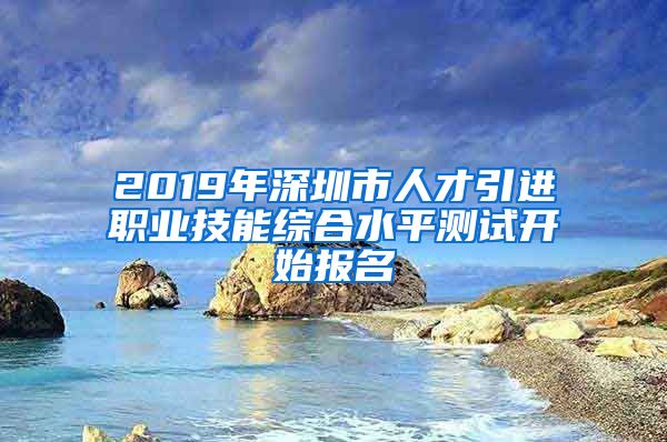 2019年深圳市人才引进职业技能综合水平测试开始报名