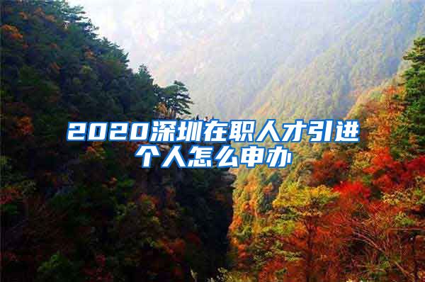 2020深圳在职人才引进个人怎么申办