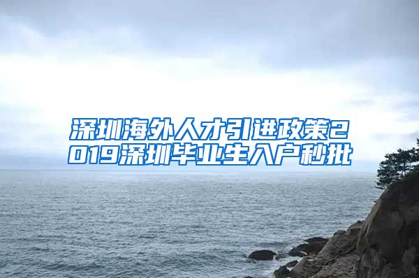 深圳海外人才引进政策2019深圳毕业生入户秒批