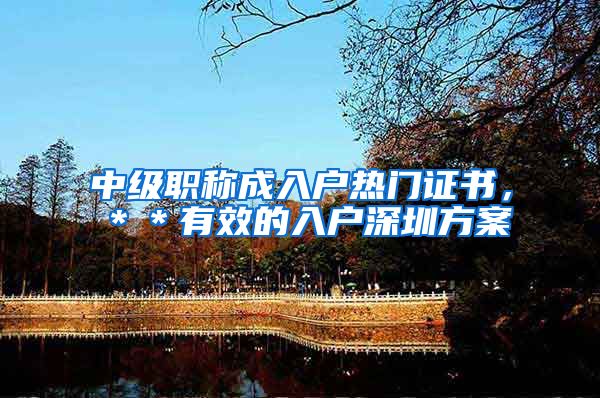 中级职称成入户热门证书，＊＊有效的入户深圳方案