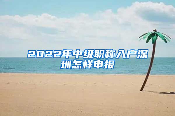 2022年中级职称入户深圳怎样申报