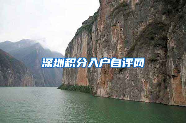 深圳积分入户自评网