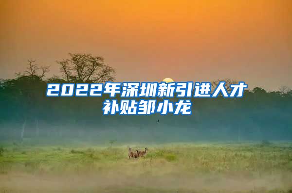 2022年深圳新引进人才补贴邹小龙
