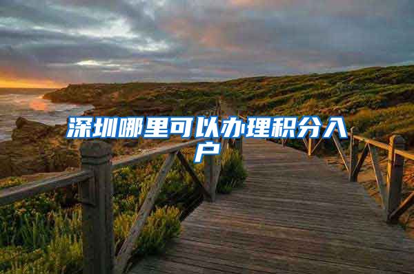 深圳哪里可以办理积分入户