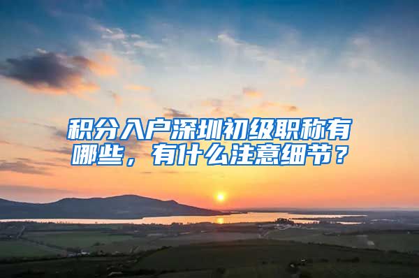 积分入户深圳初级职称有哪些，有什么注意细节？