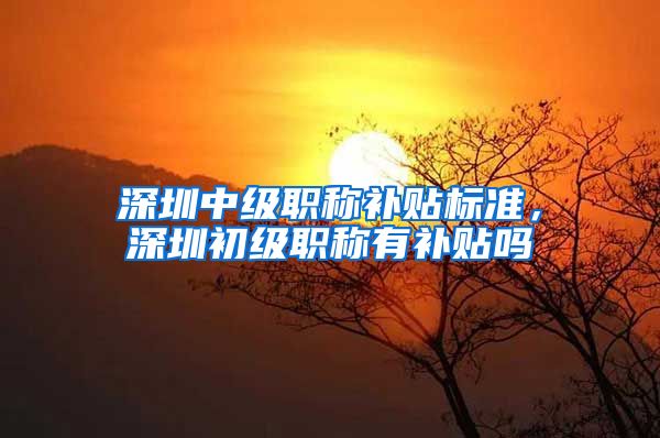 深圳中级职称补贴标准，深圳初级职称有补贴吗