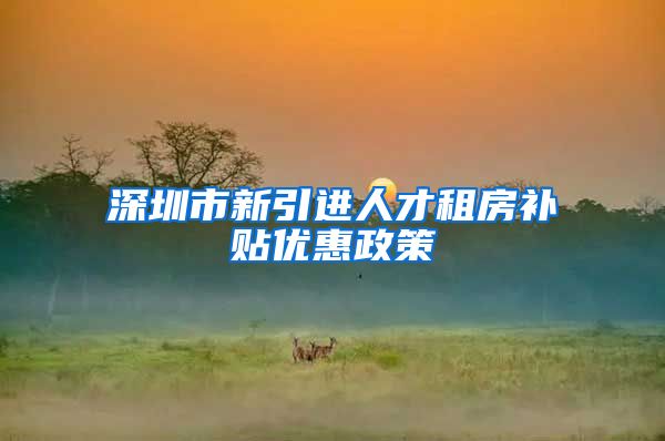 深圳市新引进人才租房补贴优惠政策