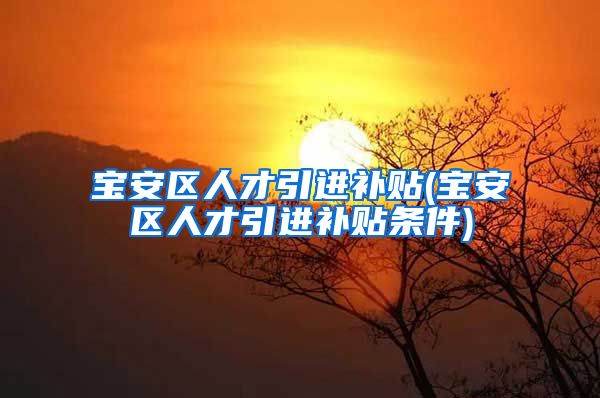 宝安区人才引进补贴(宝安区人才引进补贴条件)