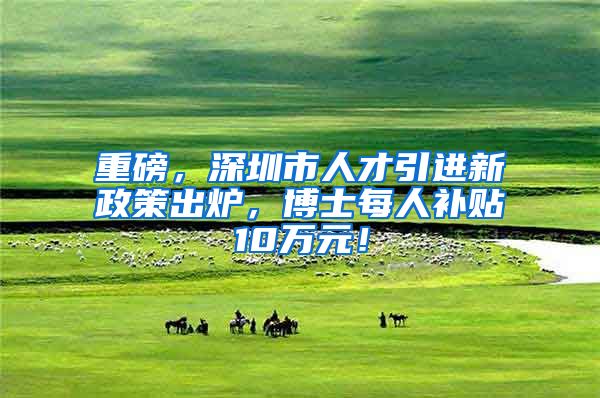 重磅，深圳市人才引进新政策出炉，博士每人补贴10万元！