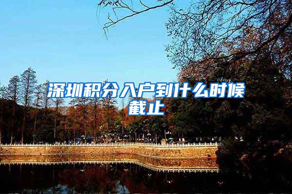 深圳积分入户到什么时候截止