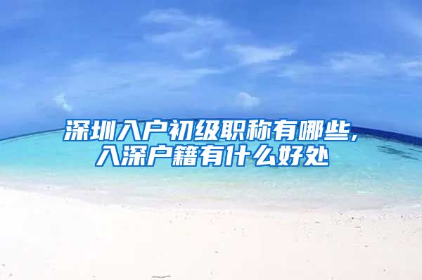深圳入户初级职称有哪些,入深户籍有什么好处