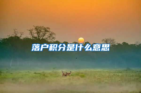 落户积分是什么意思